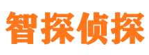 民勤市婚外情调查